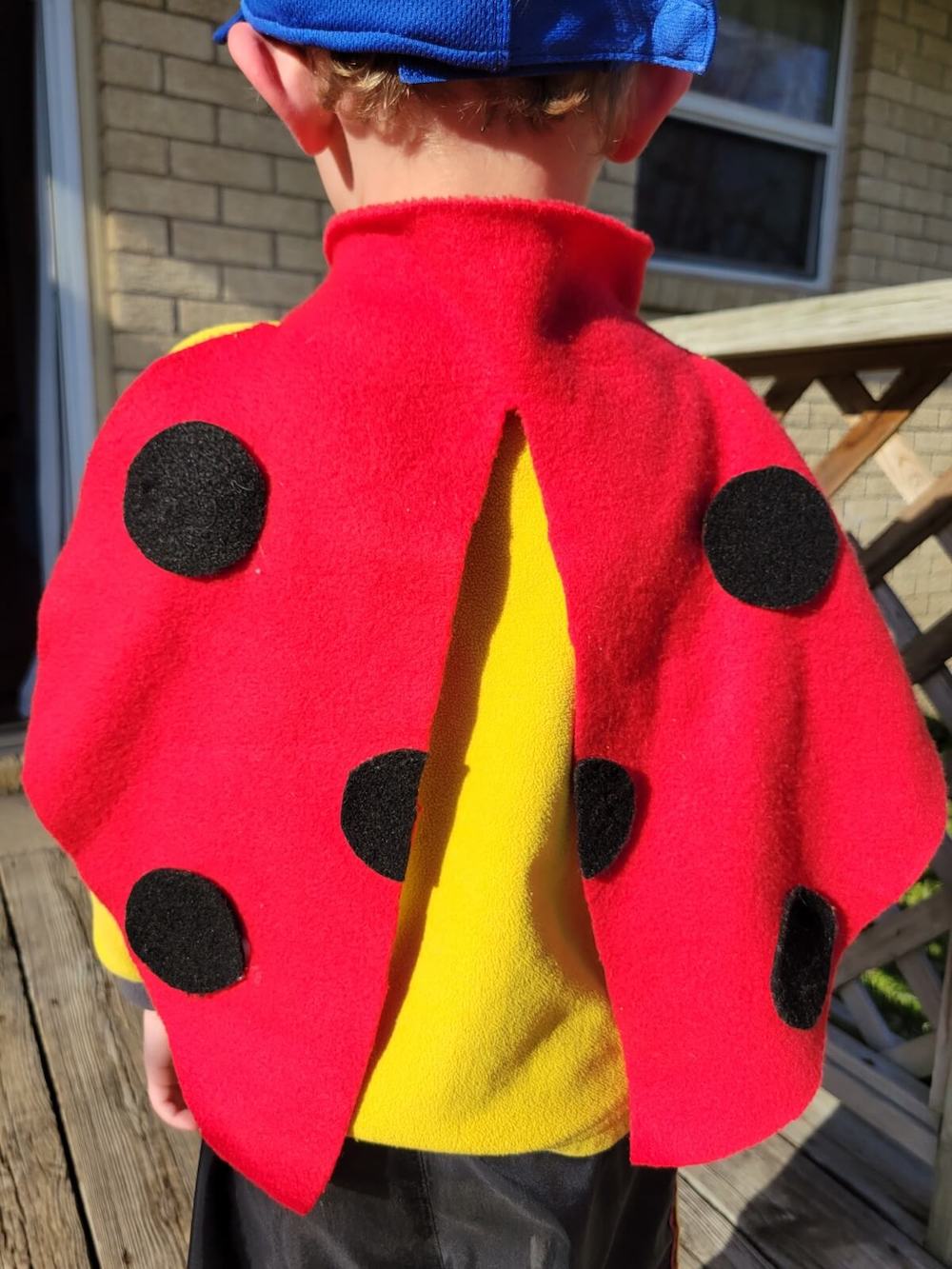Ladybug No-Sew Wings